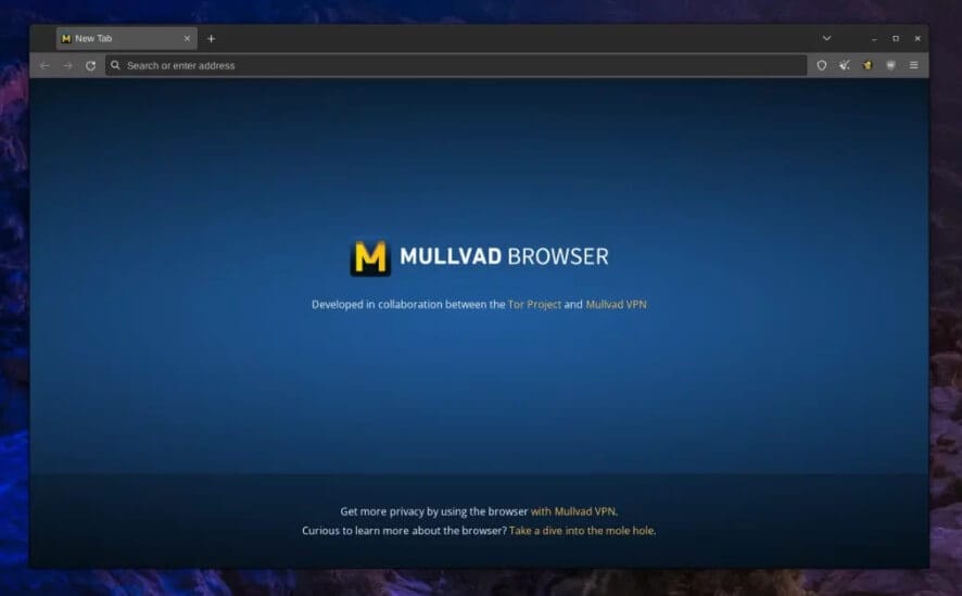 صورة متصفح Mullvad Browser مع إعدادات حماية الخصوصية ومنع التتبع أثناء تصفح الإنترنت.
